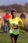 Red 146, North East Harrier League, Sunderland